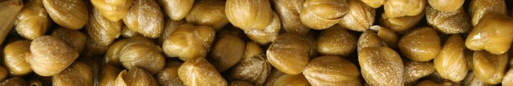 Tuna Project Best Capers in Brine Banner